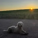 Familyroom 6 P Free Wifi Gemeinschaftsbad Hausbreitenbach