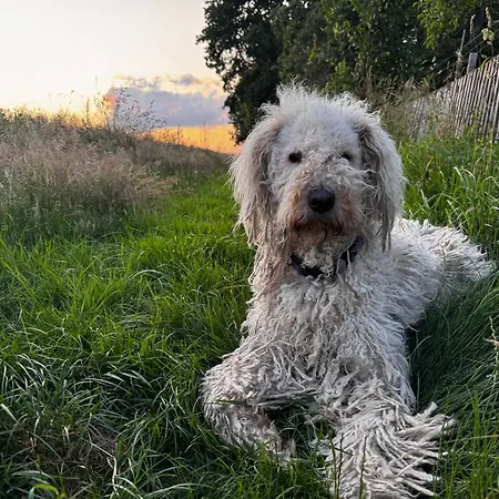 Familyroom 6 P Free Wifi Gemeinschaftsbad Hausbreitenbach