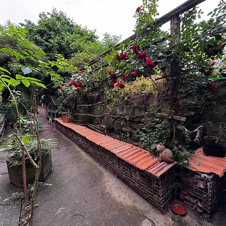 Monteurzimmer Bauernhof Hortus Sandrine Free Wifi Gemeinschaftsbad *