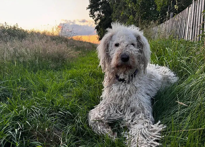 Familyroom 6 P Free Wifi Gemeinschaftsbad Hausbreitenbach