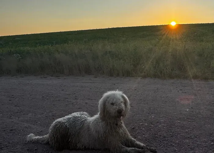 Familyroom 6 P Free Wifi Gemeinschaftsbad Hausbreitenbach